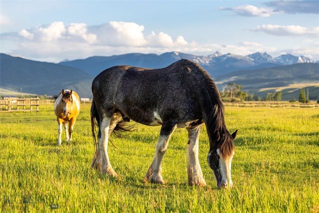 1021 Gateway South Road, Gallatin Gateway, MT 59730