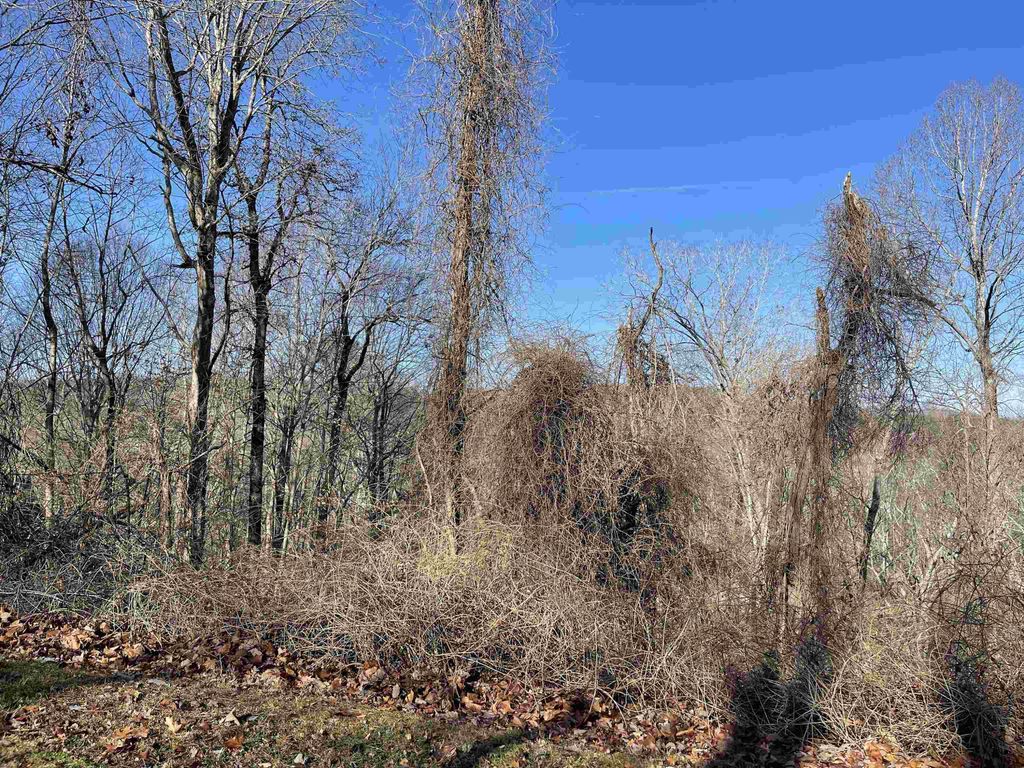 39417 Glenn Glade, Chapel Hill, NC 27517