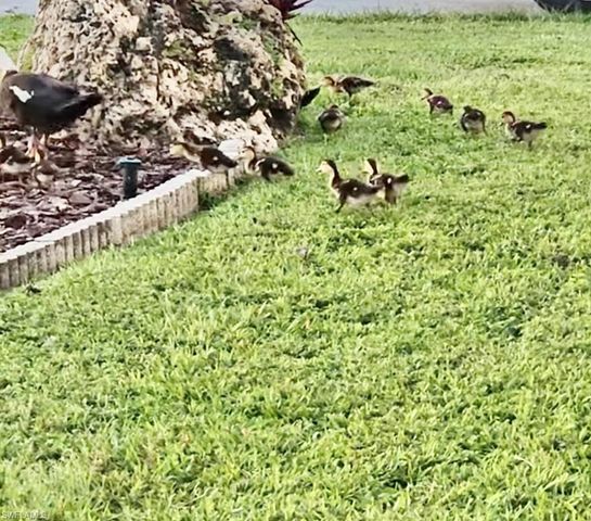 613 Pine Grove CT, North Fort Myers, FL 33917