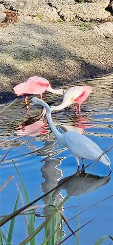 613 Pine Grove CT, North Fort Myers, FL 33917