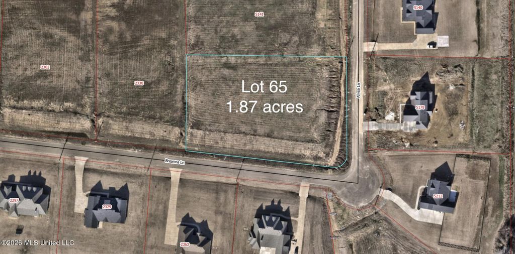 5185 Allysa Ln, Hernando, MS 38632 — exterior