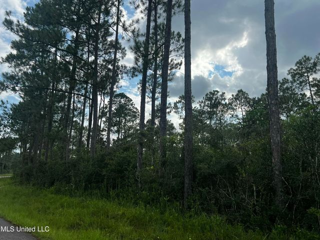 7 Ac Pollock Ferry Road, Moss Point, MS 39562