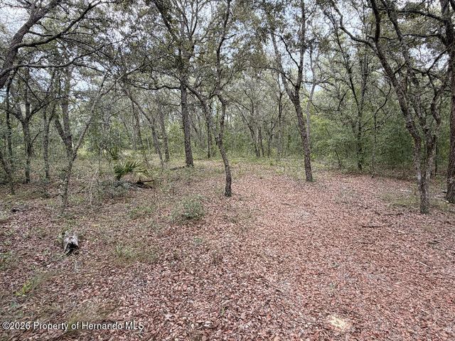 12600 Centralia Road, Brooksville, FL 34614