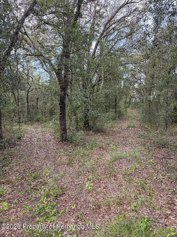 12600 Centralia Road, Brooksville, FL 34614
