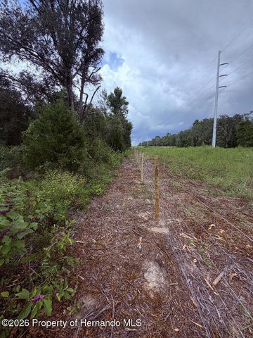 12600 Centralia Road, Brooksville, FL 34614