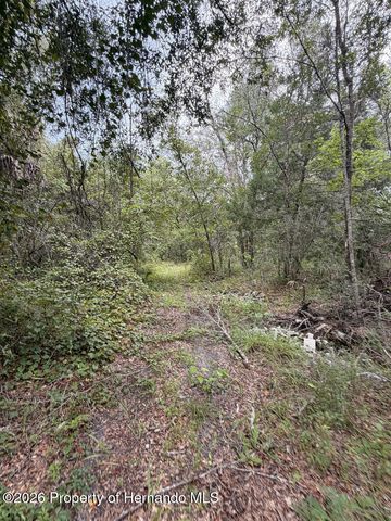 12600 Centralia Road, Brooksville, FL 34614