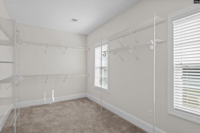 769 Broad Leaf Drive, Elgin, SC 29045