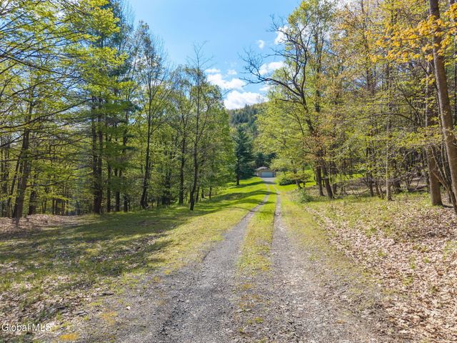 105 Patent Lane, Middleburgh, NY 12157