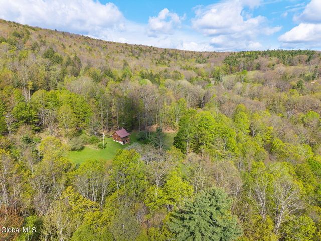 105 Patent Lane, Middleburgh, NY 12157