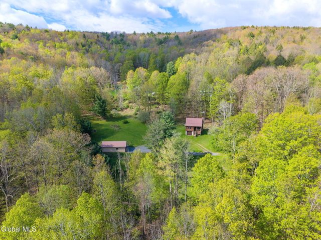 105 Patent Lane, Middleburgh, NY 12157