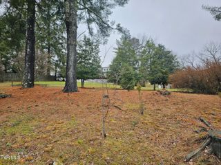 Tbd Southwest Orchard Lane, Wise, VA 24293