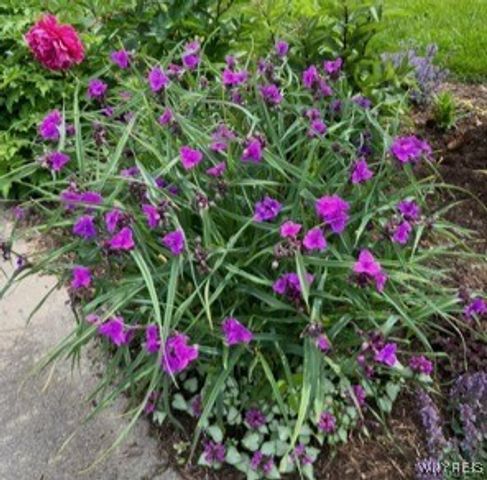 27 Federal Avenue, Cheektowaga, NY 14225