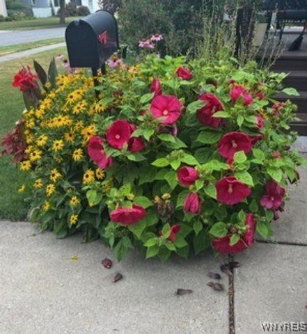 27 Federal Avenue, Cheektowaga, NY 14225