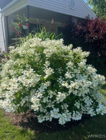 27 Federal Avenue, Cheektowaga, NY 14225