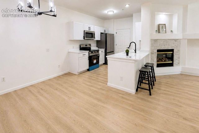 494 Black Feather Loop 106, Castle Rock, CO 80104