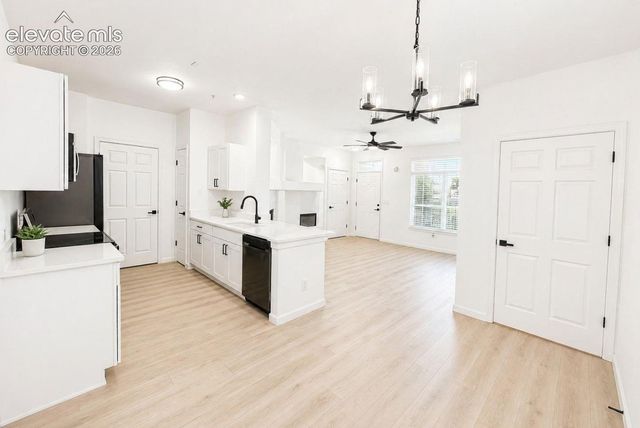 494 Black Feather Loop 106, Castle Rock, CO 80104
