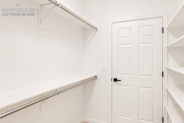 494 Black Feather Loop 106, Castle Rock, CO 80104