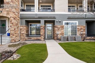 494 Black Feather Loop 106, Castle Rock, CO 80104