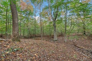 000 Ammons Drive, Waleska, GA 30183