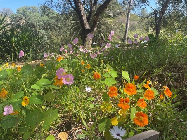 4747 Oak Crest Road 28, Fallbrook, CA 92028