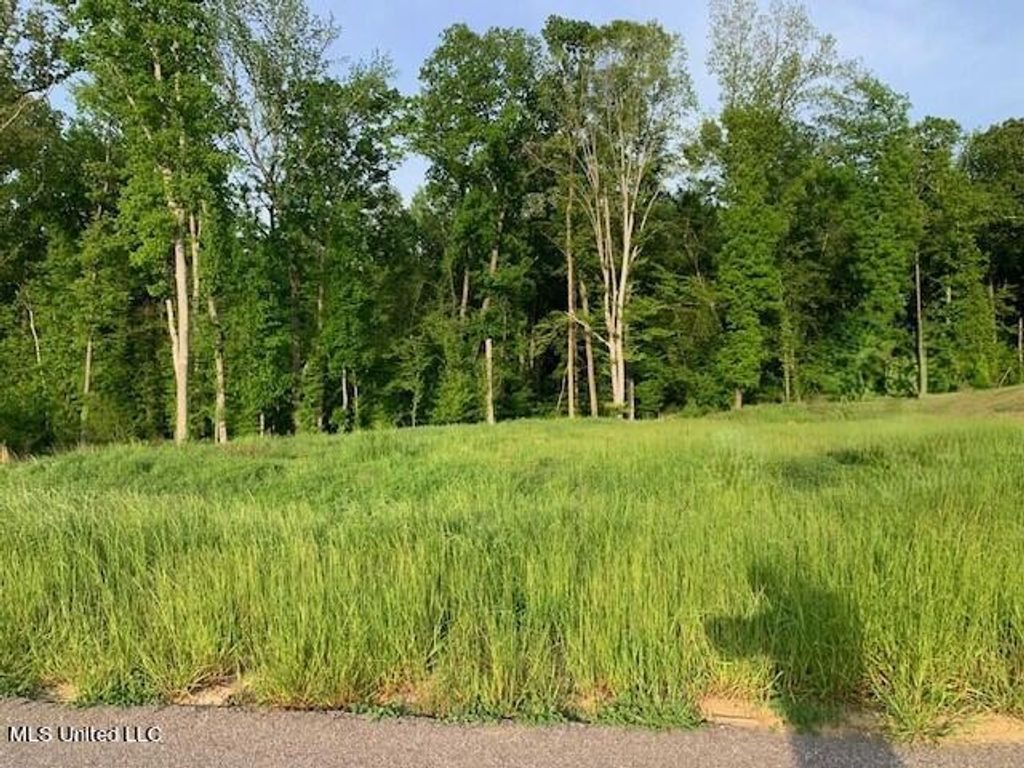 2914 S Cypress Lake Drive, Olive Branch, MS 38654 — photo 3