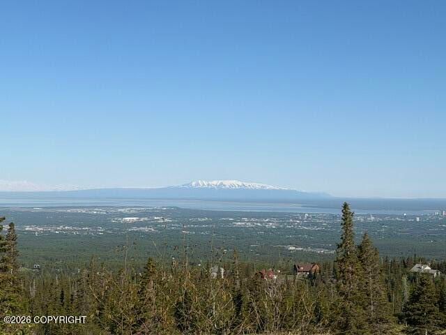 NHN Sultana Court, Anchorage, AK 99516