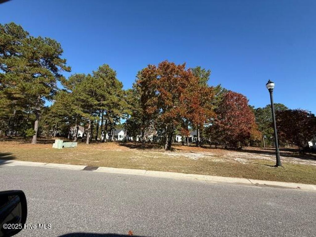 3808 Silver Melon Road NE, Leland, NC 28451