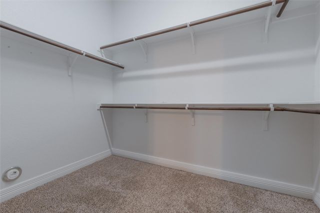 1016 Teravista XING, Georgetown, TX 78626