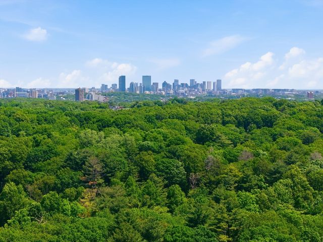 232 Allandale Rd 3A, Boston, MA 02467