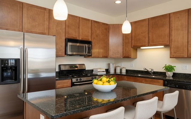 2243 N Lister Avenue 401, Chicago, IL 60614