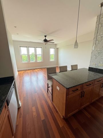 2243 N Lister Avenue 401, Chicago, IL 60614