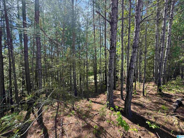 141 GLENGERRY DRIVE, Pelham, AL 35124