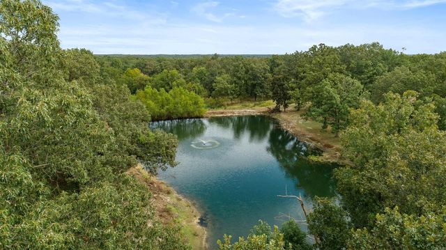 14 Law 351 Road, Saffell, AR 72572