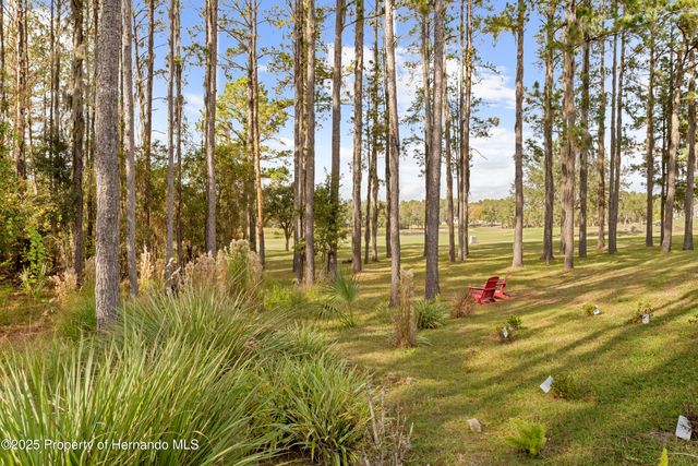 4905 Majestic Hills Loop, Brooksville, FL 34601