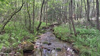 Lot 20 Airport Rd (PCA), Rockwood, TN 37854