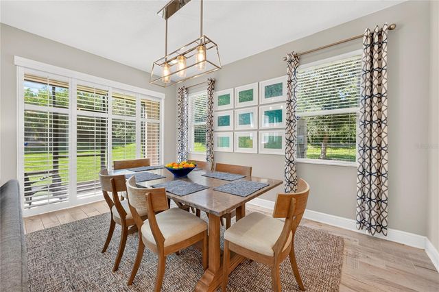 15190 SUNRISE GROVE CT, Winter Garden, FL 34787