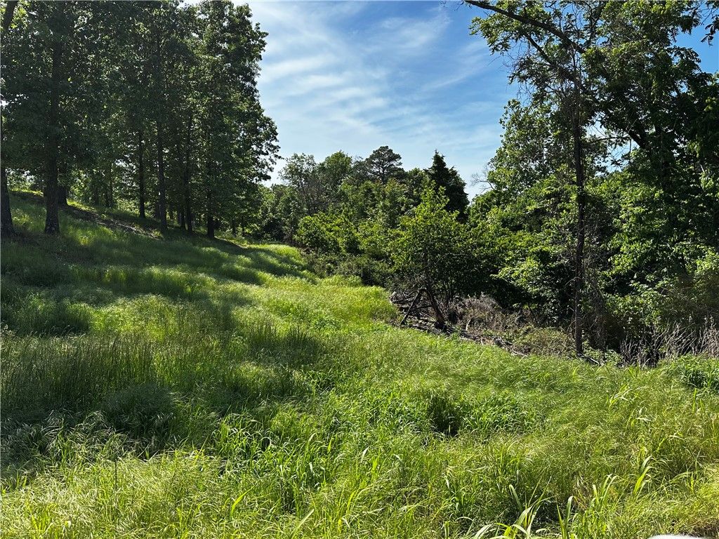 Lot 86 Tanglewood Resort 2, Rogers, AR 72756