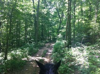 9999 Hales Fork Road, Dewitt, KY 40930