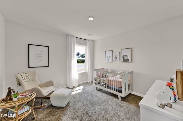 342 Alta Tree Blvd, Johnson City, TN 37604