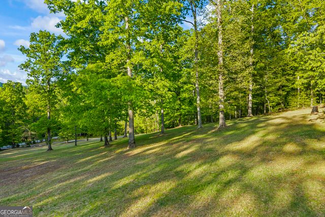 920 Yeoman Lake Road, Clarkesville, GA 30523