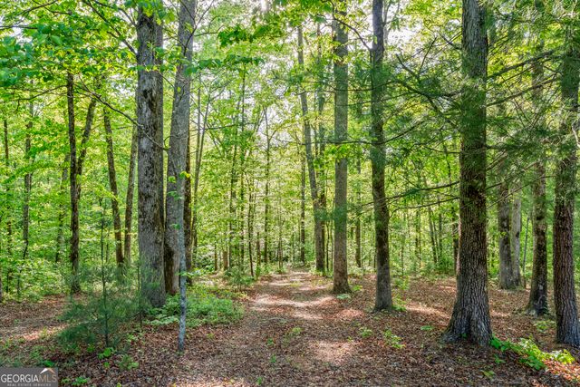 920 Yeoman Lake Road, Clarkesville, GA 30523