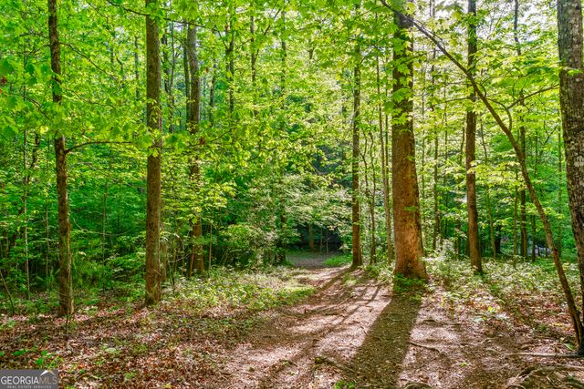 920 Yeoman Lake Road, Clarkesville, GA 30523