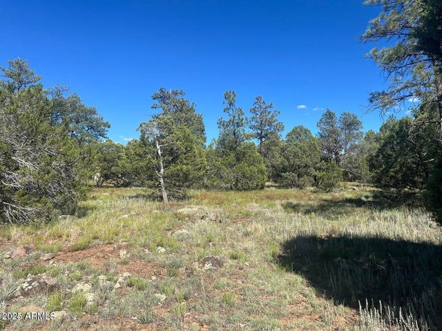 5020 BISON Trail 34 & 35, Lakeside, AZ 85929