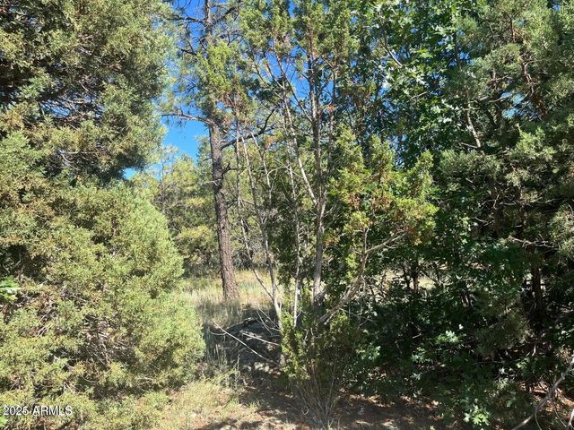 5020 BISON Trail 34 & 35, Lakeside, AZ 85929