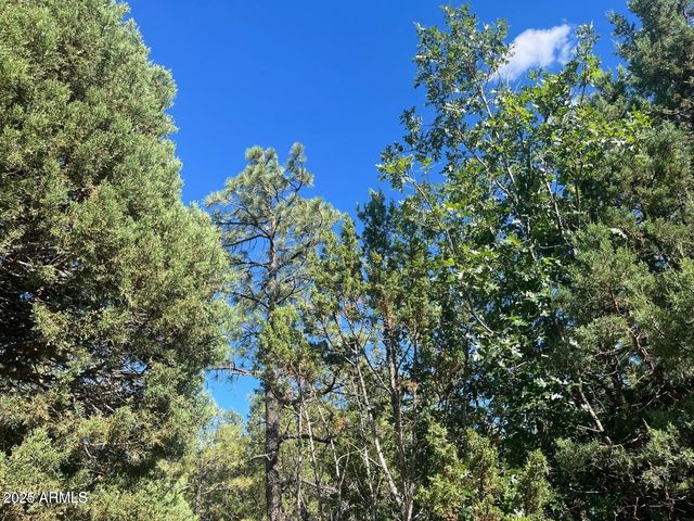 5020 BISON Trail 34 & 35, Lakeside, AZ 85929