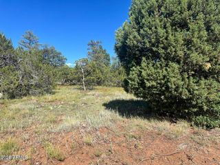 5020 BISON Trail 34 & 35, Lakeside, AZ 85929