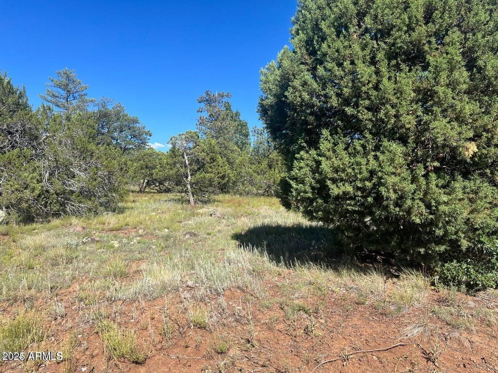 5020 BISON Trail 34 & 35, Lakeside, AZ 85929