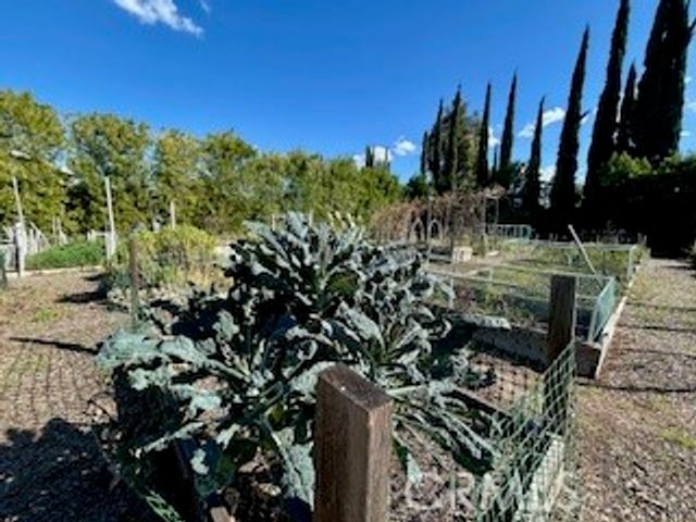 21709 Bene Drive, Saugus, CA 91350