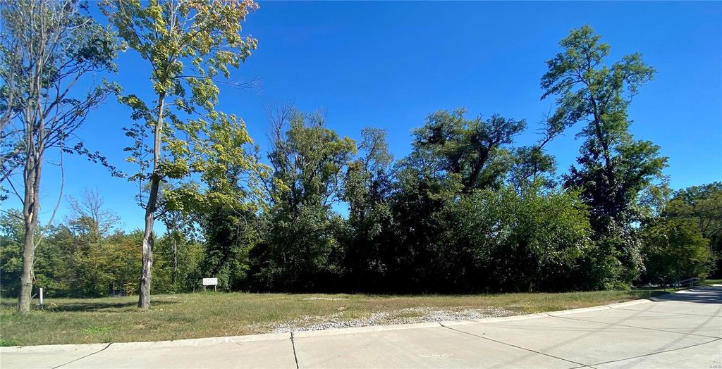 2017 Lily Avenue, Kirkwood, MO 63122