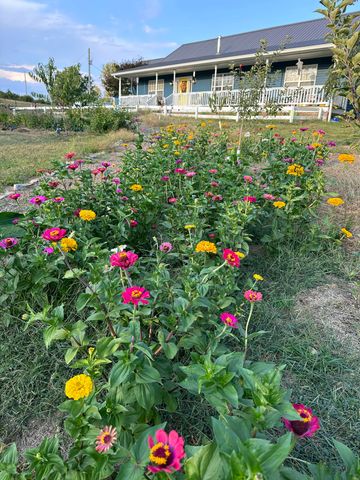 350 Grapevine Road, Harrodsburg, KY 40330